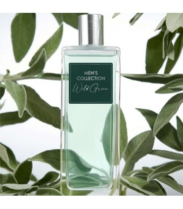 ادوتویلت مردانه وایلد گرین