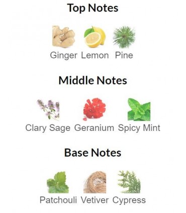 ادوتویلت مردانه وایلد گرین