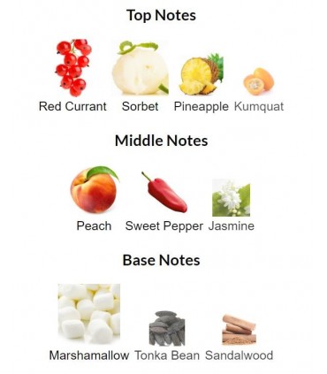 ادوپرفیوم زنانه سوفیور توگدر