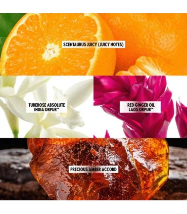 پرفیوم زنانه آل اور ناتینگ امپلیفاید