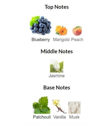 ادوپرفیوم زنانه اکلت نوئت Eclat Nuit