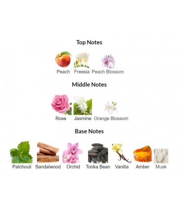 ادوتویلت زنانه انیگما