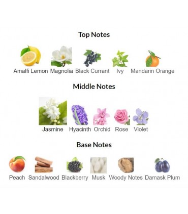 ادوتویلت زنانه لوسیا