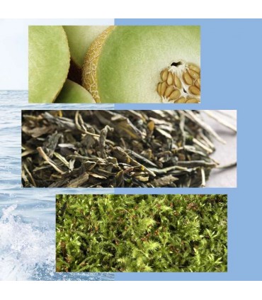 ادوتویلت مردانه اکسایت