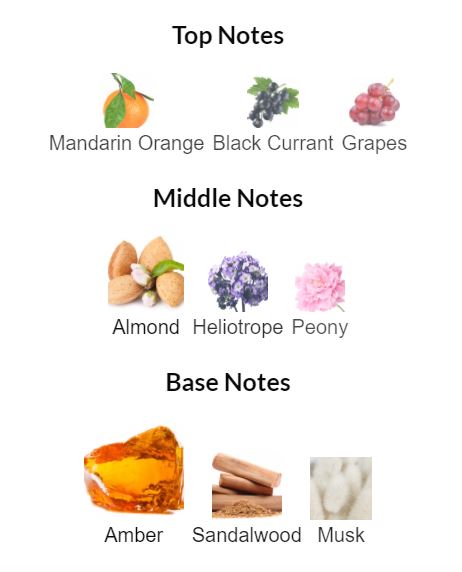 نتهای عطر امبر الکسیر
